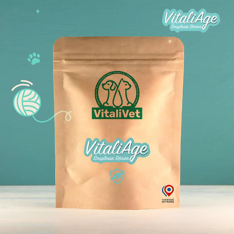 VitaliAge – Souplesse Sénior