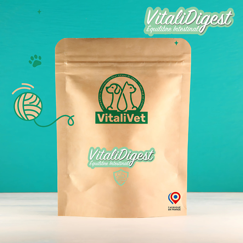 VitaliDigest – Équilibre Intestinal