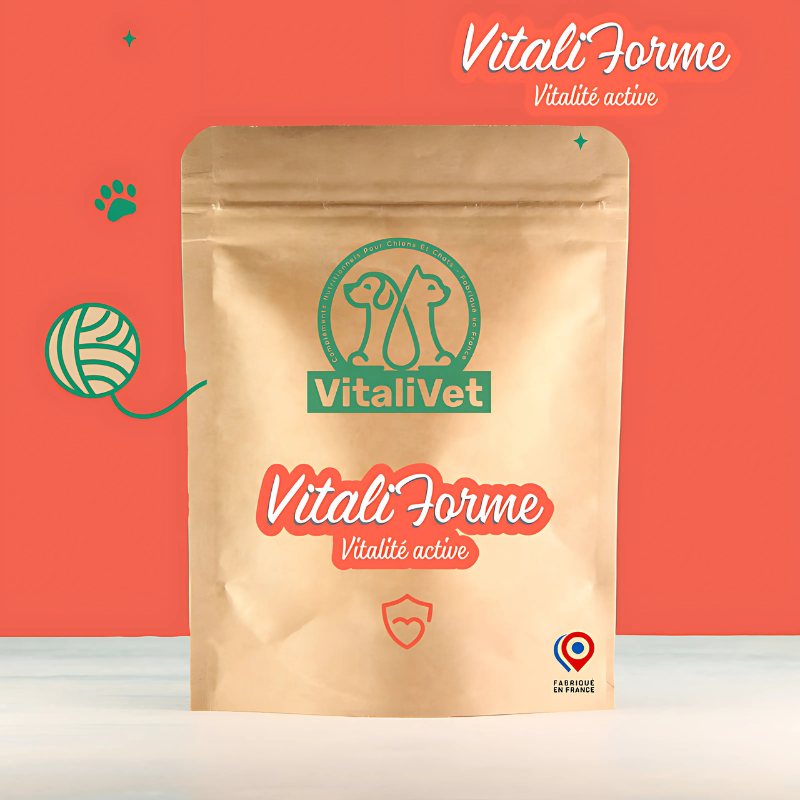 VitaliForme – Vitalité Active
