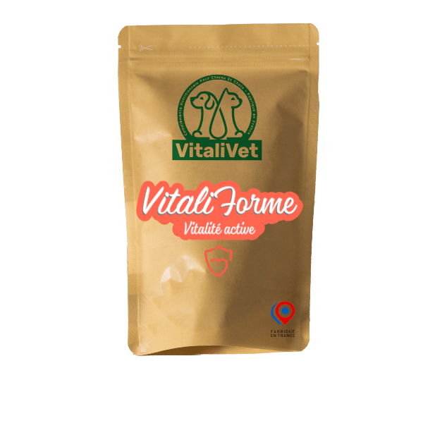 VitaliForme – Vitalité Active