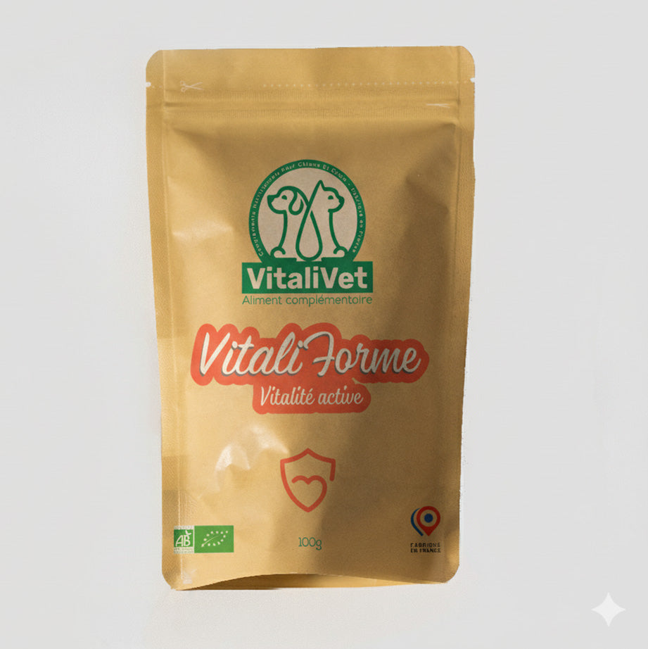 VitaliForme - Vitalité Active - chat