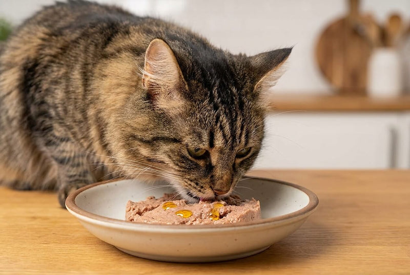 Oméga-3 pour chat : les bienfaits pour la peau et le poil