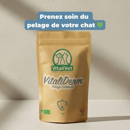 VitaliDerm - Pelage Éclatant - chat