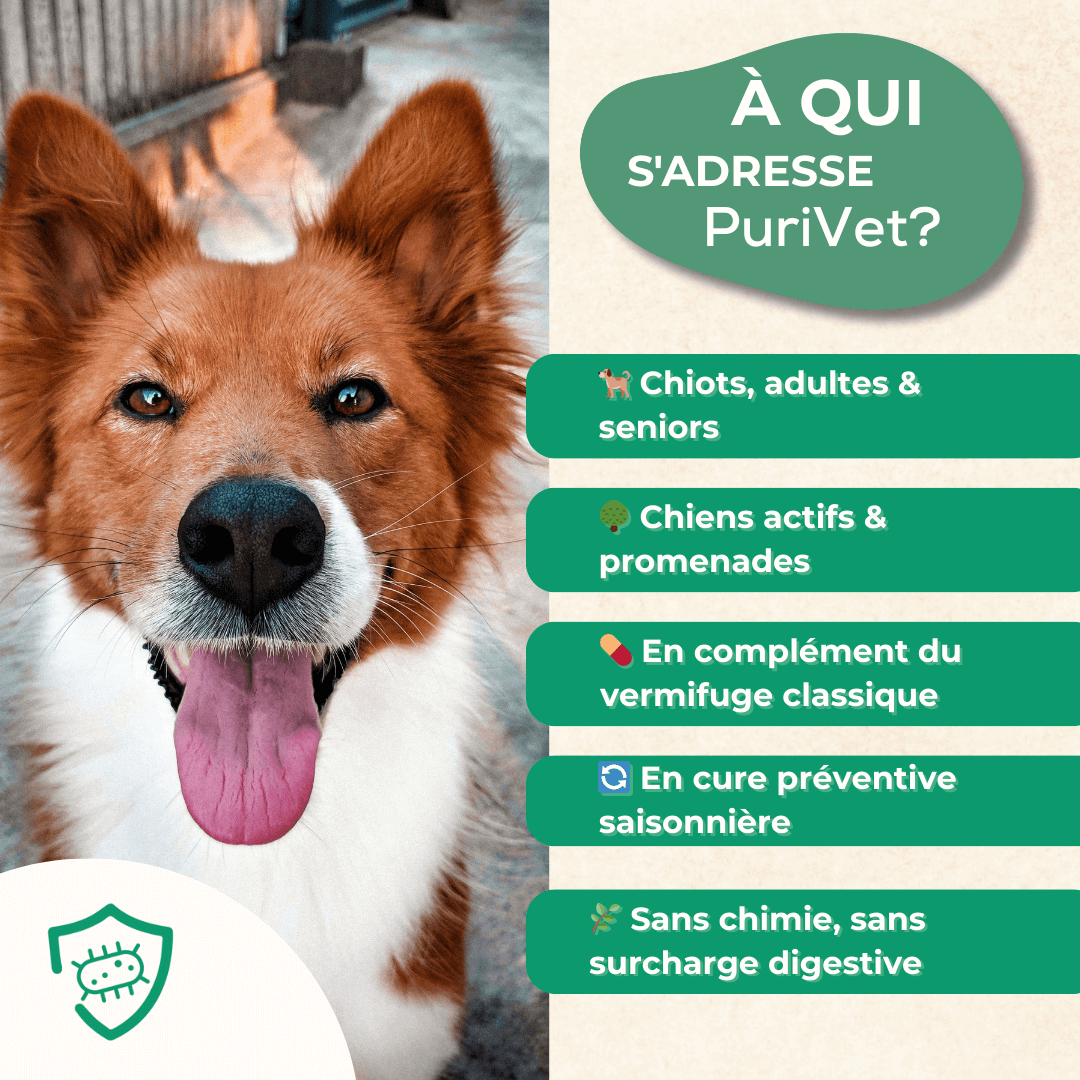 PuriVet chien - Vermifuge naturel pour chiots, chiens adultes et seniors actifs, en complément du vermifuge classique et en cure préventive saisonnière