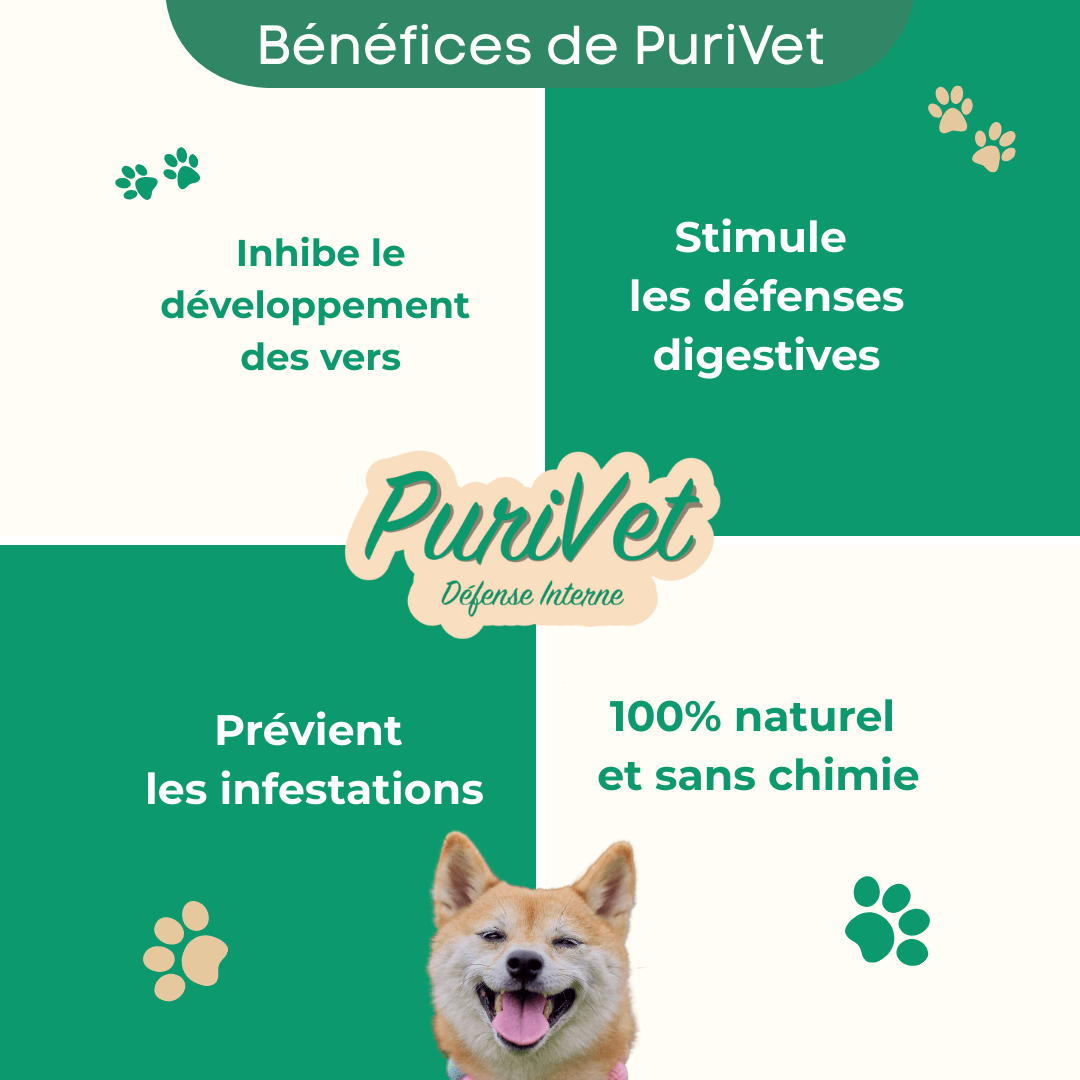 Bénéfices PuriVet chien - Vermifuge naturel qui inhibe le développement des vers, stimule les défenses digestives et prévient les infestations parasitaires