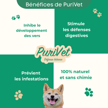 Bénéfices PuriVet chien - Vermifuge naturel qui inhibe le développement des vers, stimule les défenses digestives et prévient les infestations parasitaires