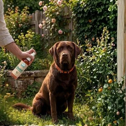 RepulsiVet – Protection naturelle contre puces et tiques - chien