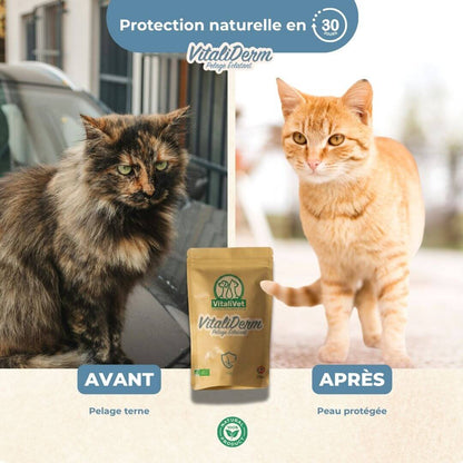 VitaliDerm - Pelage Éclatant - chat