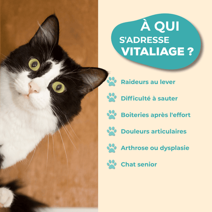 VitaliAge - Souplesse Senior - chat