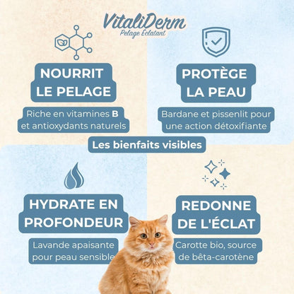 VitaliDerm - Pelage Éclatant - chat