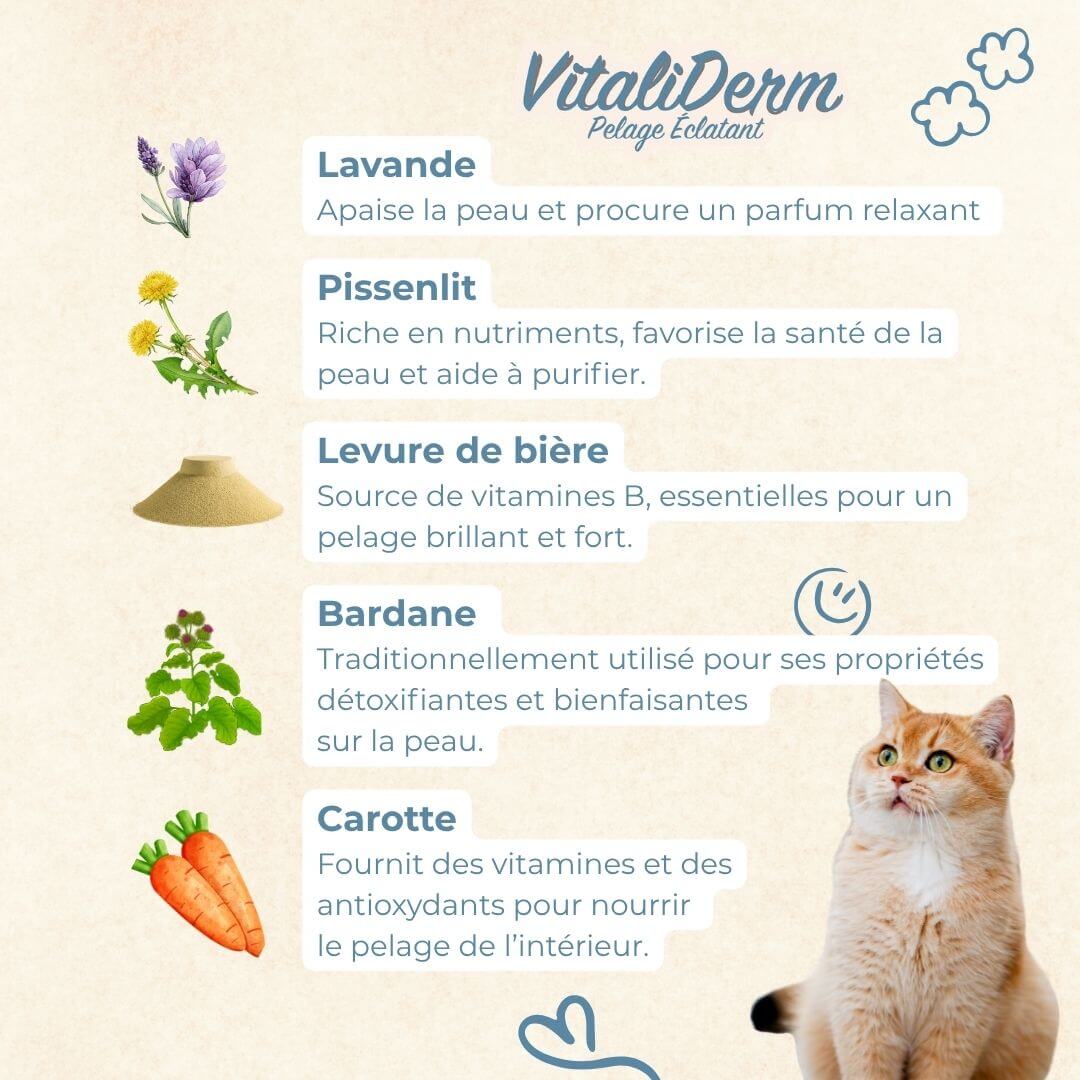 VitaliDerm - Pelage Éclatant - chat