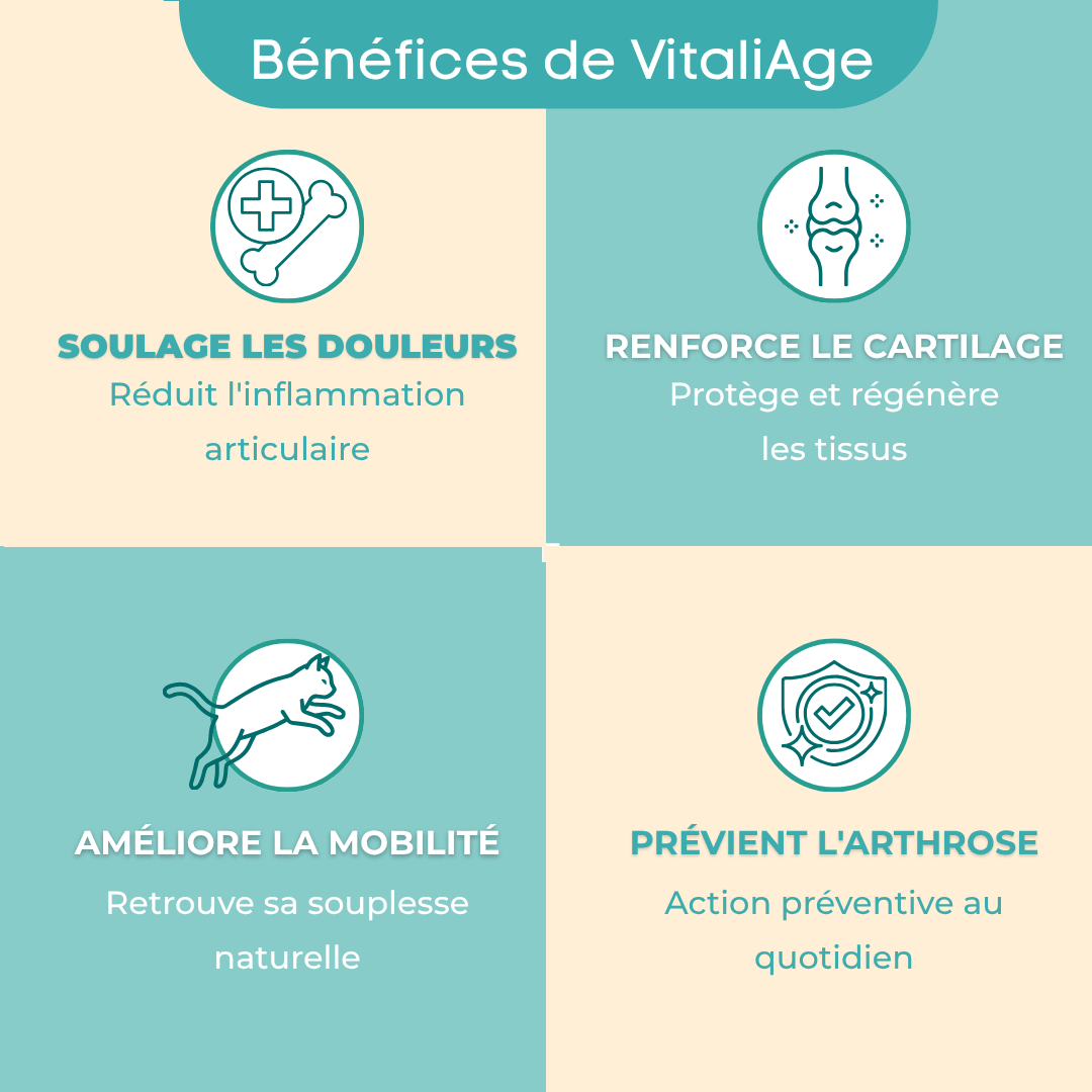 VitaliAge - Souplesse Senior - chat