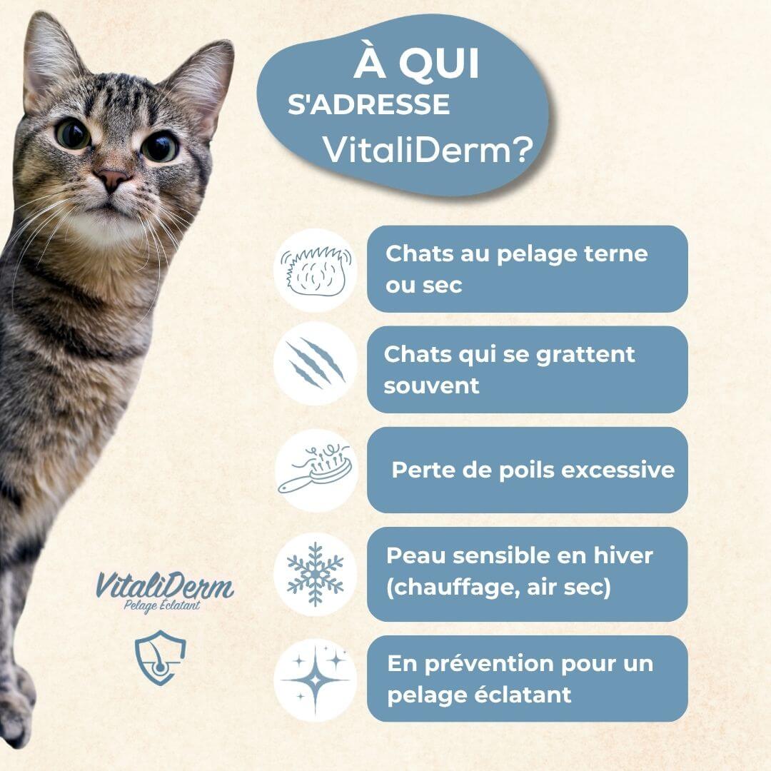VitaliDerm - Pelage Éclatant - chat