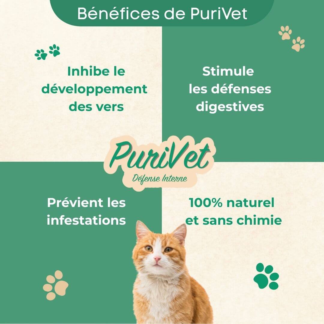 Bénéfices PuriVet - Vermifuge naturel pour chat qui inhibe le développement des vers, stimule les défenses digestives et prévient les infestations parasitaires