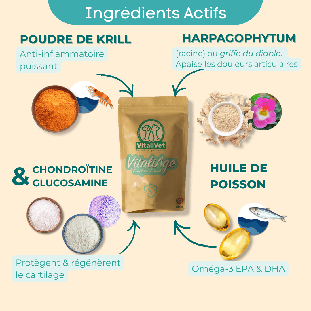 VitaliAge: un complément alimentaire pour chien à base de 5 ingrdients actifs