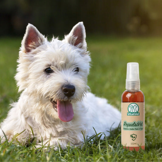 RepulsiVet – Protection naturelle contre puces et tiques