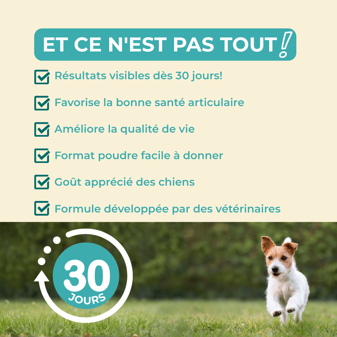 VitaliAge, des résultats visibles sur la mobilité de votre chien, dès 30 jours