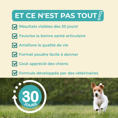 VitaliAge, des résultats visibles sur la mobilité de votre chien, dès 30 jours