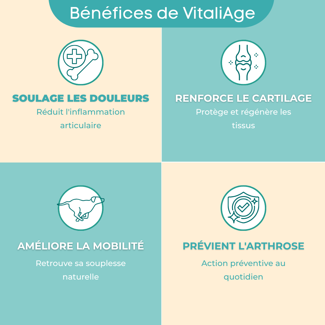 VitaliAge un complement alimentaire pour chien qui a de nombreux bénéfices
