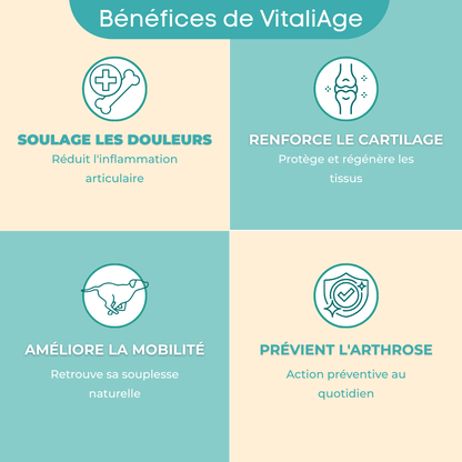 VitaliAge un complement alimentaire pour chien qui a de nombreux bénéfices