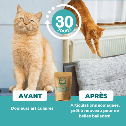 VitaliAge - Souplesse Senior - chat