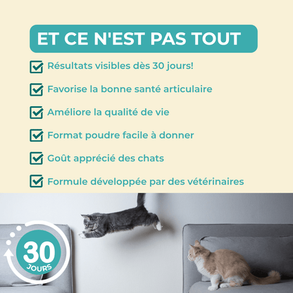 VitaliAge - Souplesse Senior - chat