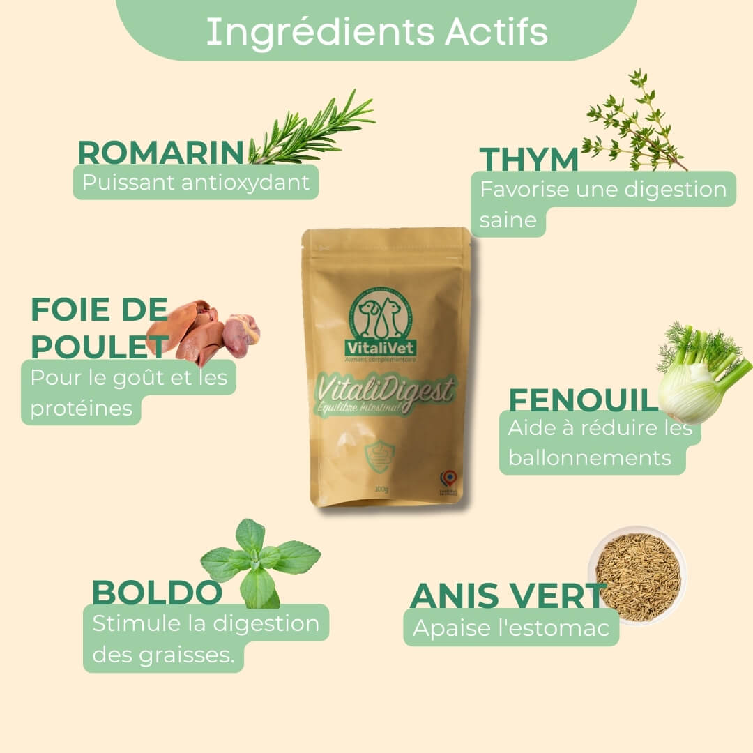 Ingrédients actifs VitaliDigest chat et chien - à base de plantes favorisant la digestion de votre animal de compagnie 