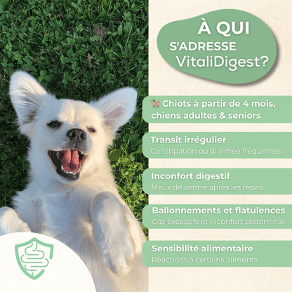 Complément alimentaire VitaliDigest pour digestion chien - Transit intestinal et inconfort digestif des chiots, chiens adultes et seniors